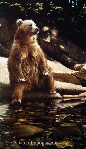 Cool Foot - Bear