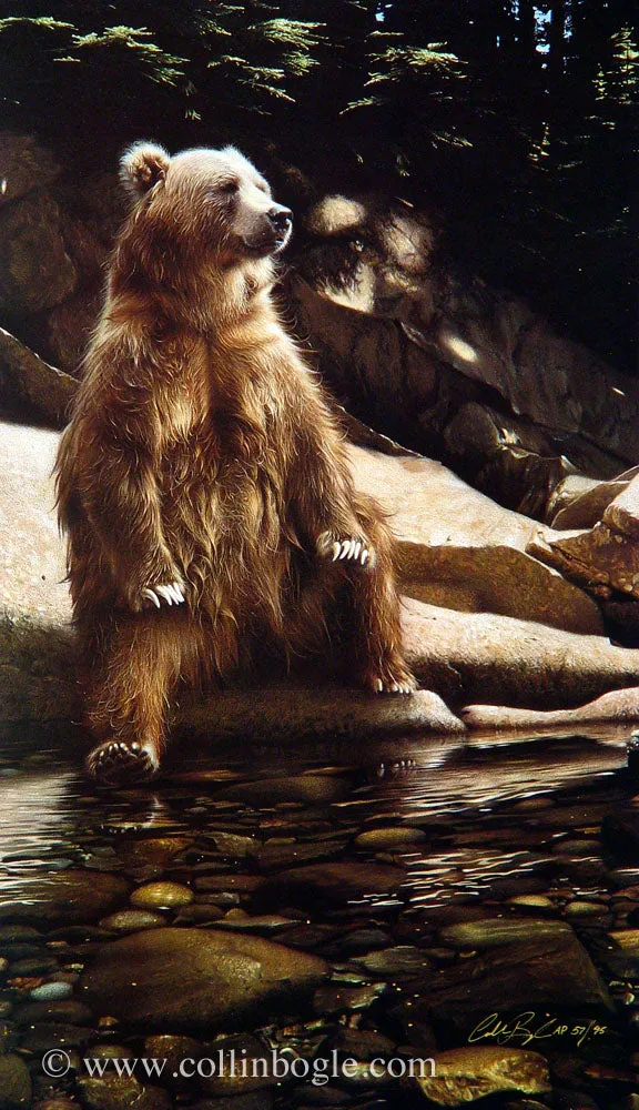 Cool Foot - Bear