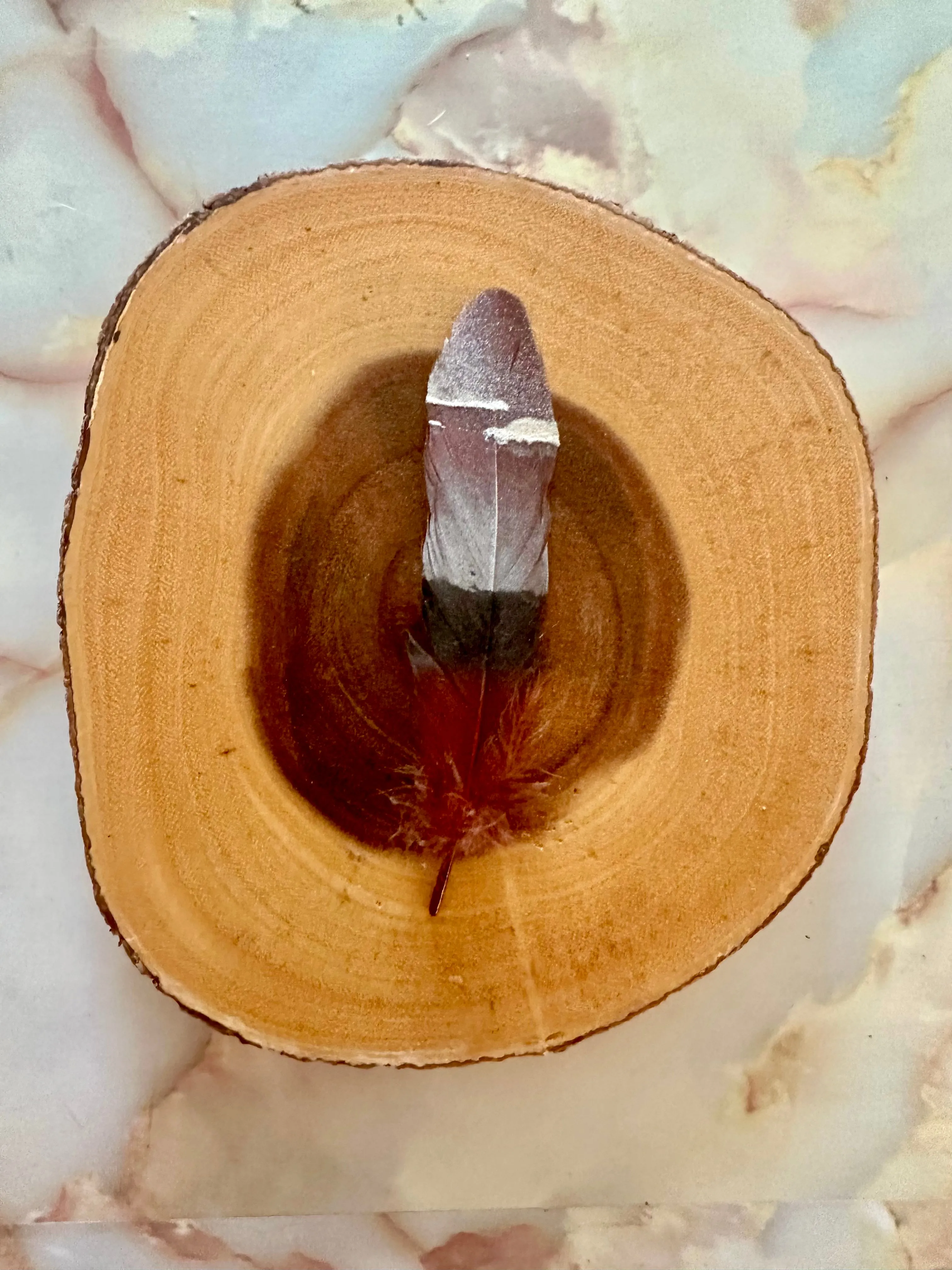 Feather 87