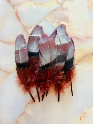 Feather 87