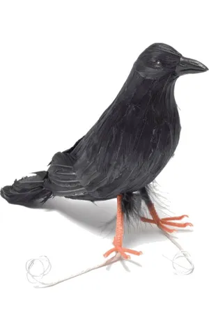 Feather Raven Bird Accessory