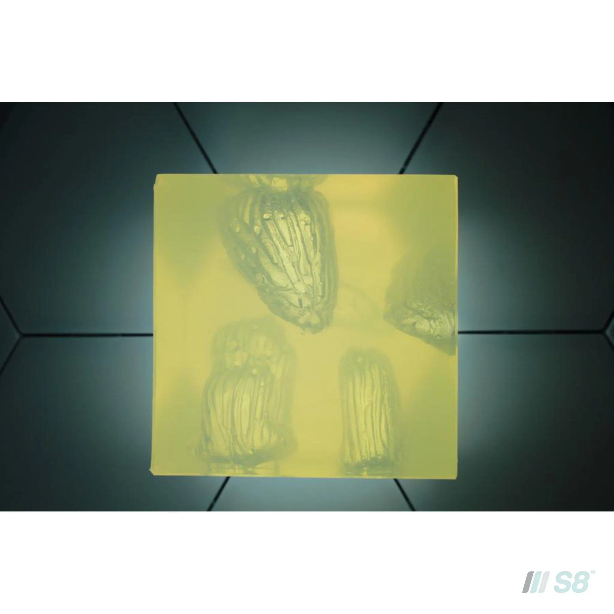 Phokus Research Group Wound Cube™ Wound Simulator Gen2