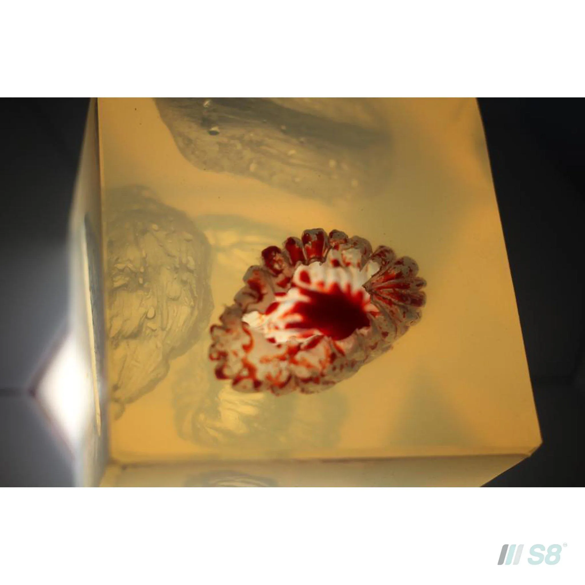 Phokus Research Group Wound Cube™ Wound Simulator Gen2