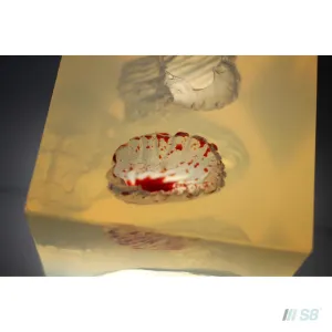 Phokus Research Group Wound Cube™ Wound Simulator Gen2