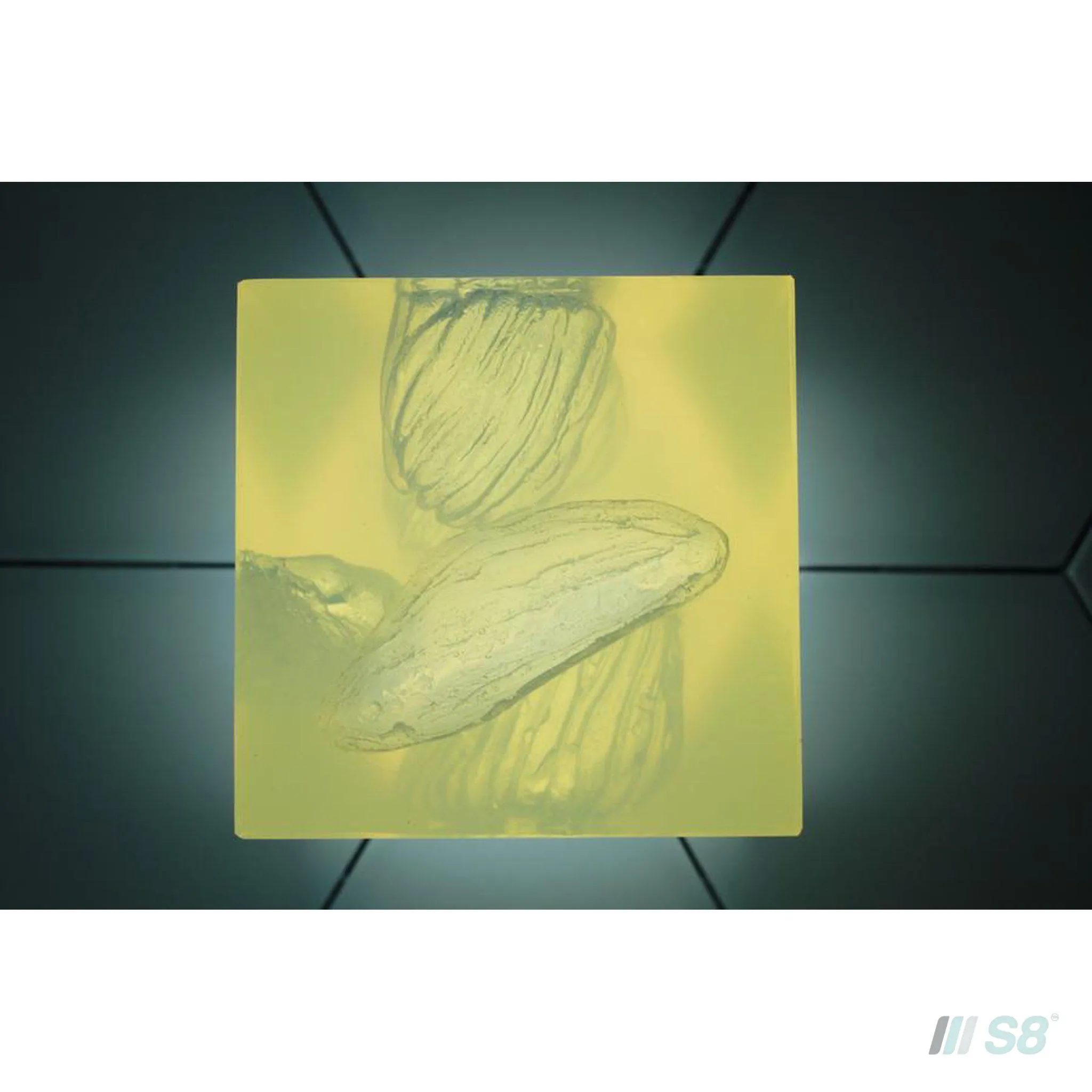 Phokus Research Group Wound Cube™ Wound Simulator Gen2