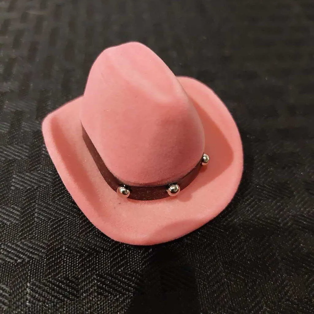 Pink Horseshoe Earrings W/ Cowboy Box