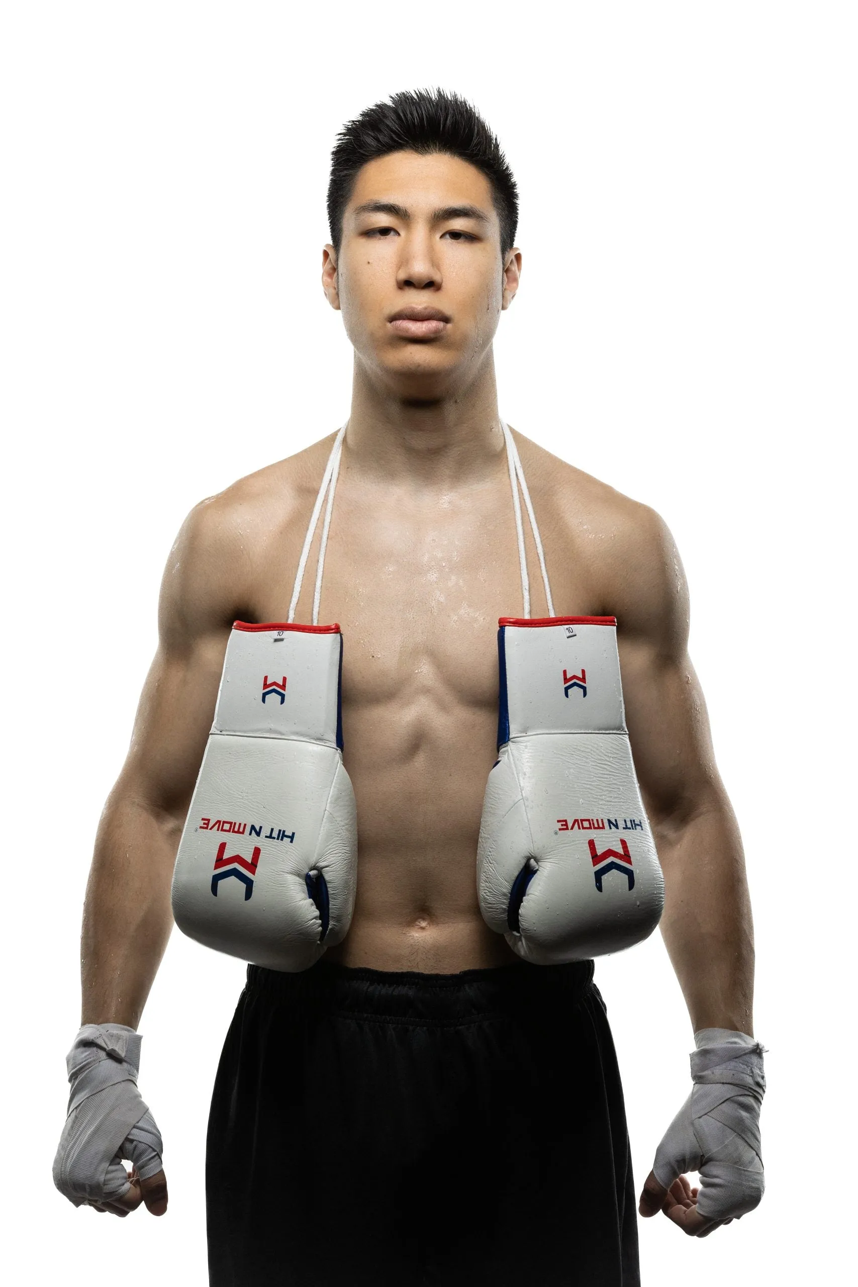 Pro Fight Gloves