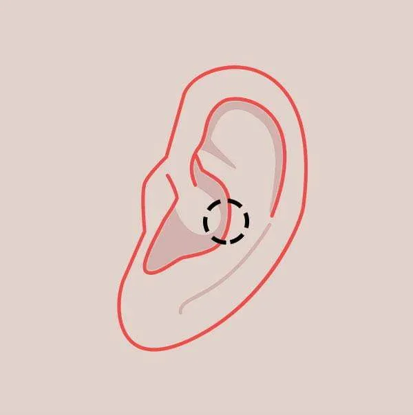 Snug Piercing in Markham