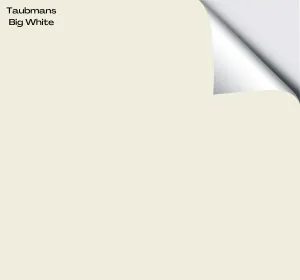 Taubmans Big White